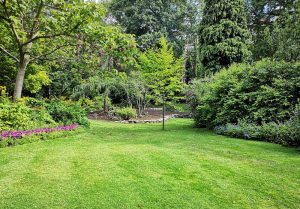 Optimiser l'expérience du jardin à Freyming-Merlebach